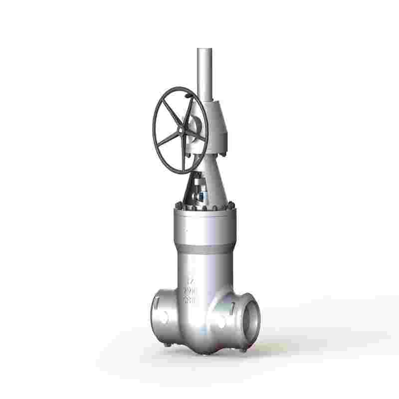 Hydrogenation gate valve