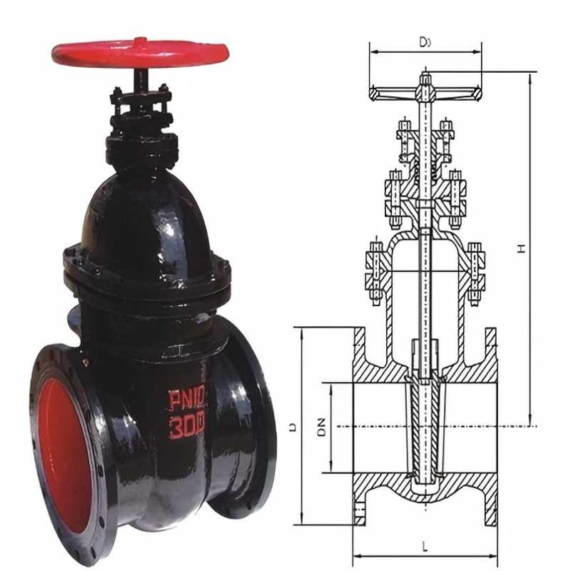 Z41T,Z45T cast iron gate valves