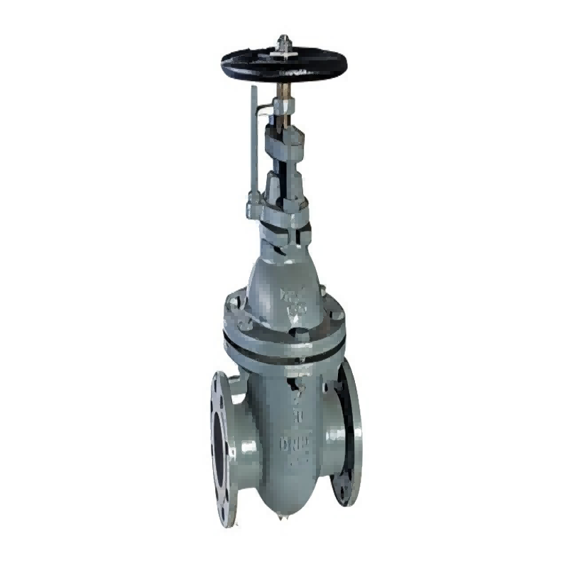 Marine flanged cast steel gate valve