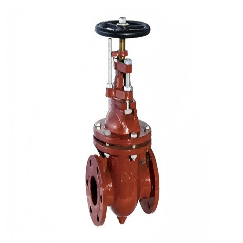 Marine flange cast iron gate valve CB/T465-95